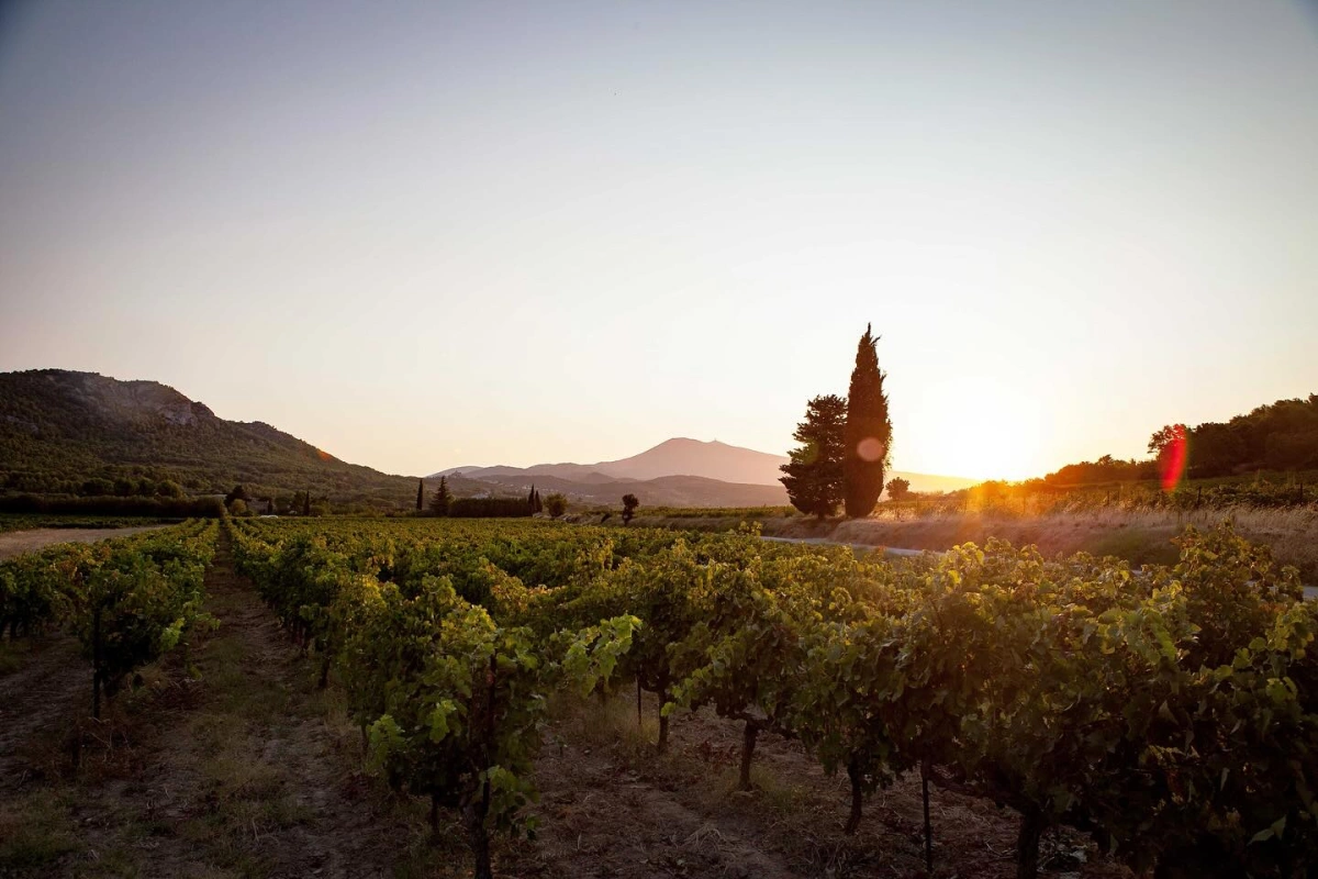 Domaine Raboly – Beaumes-de-Venise — Soirée Sud Wine Club Jeudi 11 juin 2026