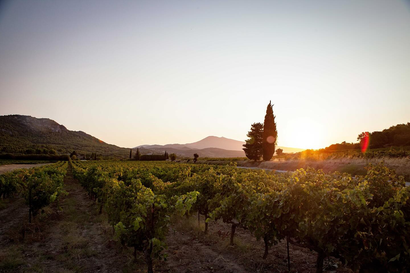Domaine Raboly – Beaumes-de-Venise — Soirée Sud Wine Club Jeudi 11 juin 2026